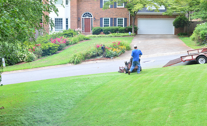 Landscaping